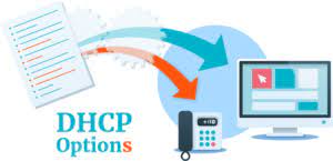 dhcp options